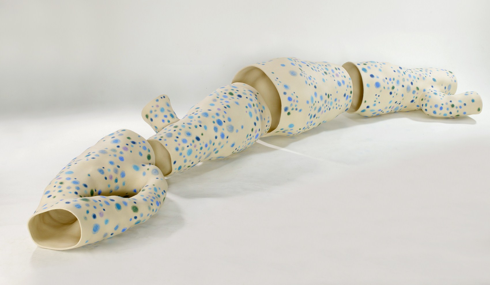 Dani Žbontar TOK 2012